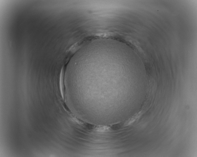 X0000068770576200605121705