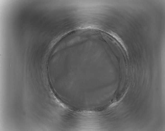 X0000068770577200605121704