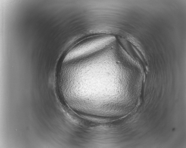 X0000068770578200605121704