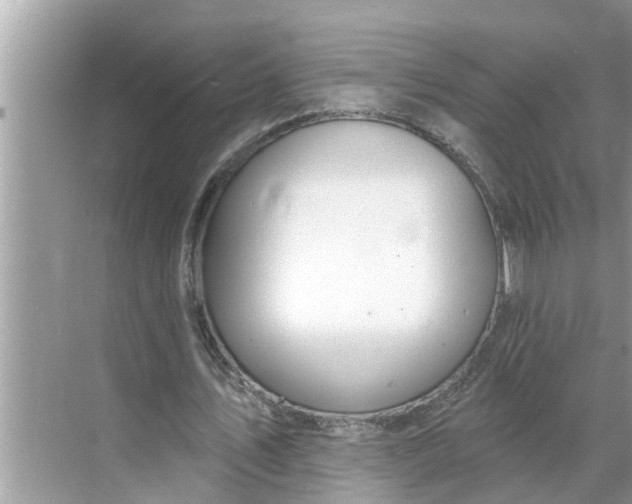 X0000068770579200605121704