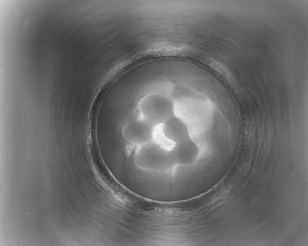 X0000068770582200605121704