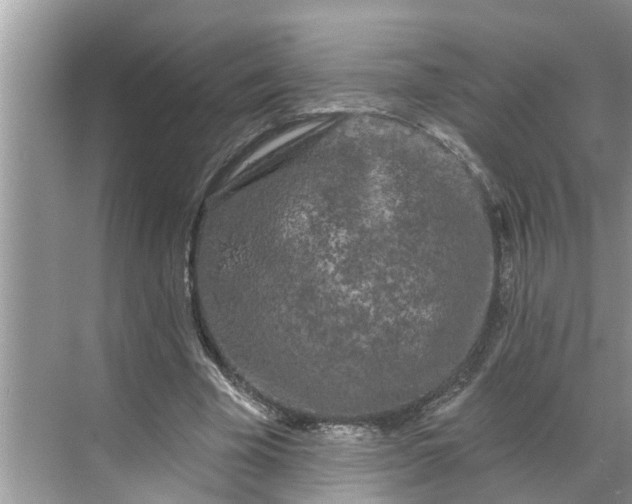 X0000068770585200605121704