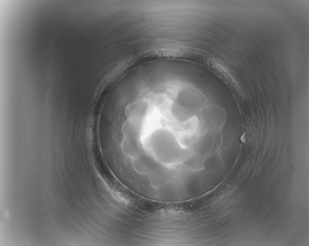 X0000068770586200605121704