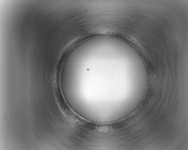 X0000068770587200605121704