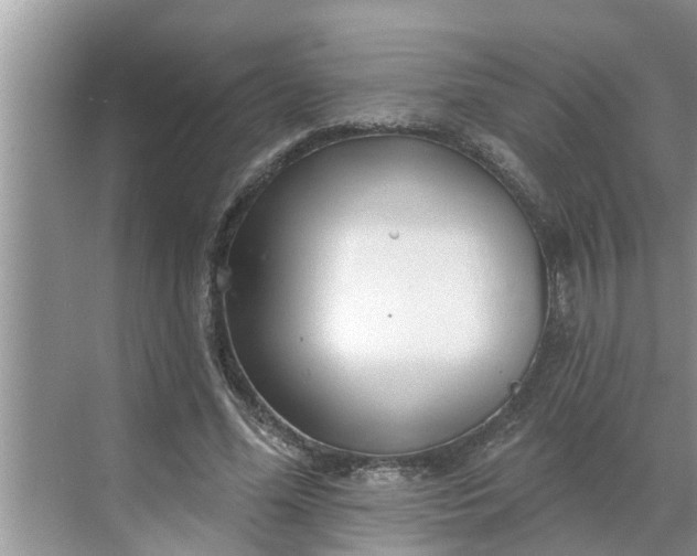 X0000068770588200605121704