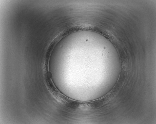 X0000068770591200605121704