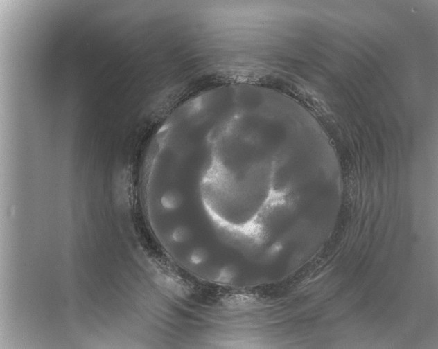 X0000068770594200605121704