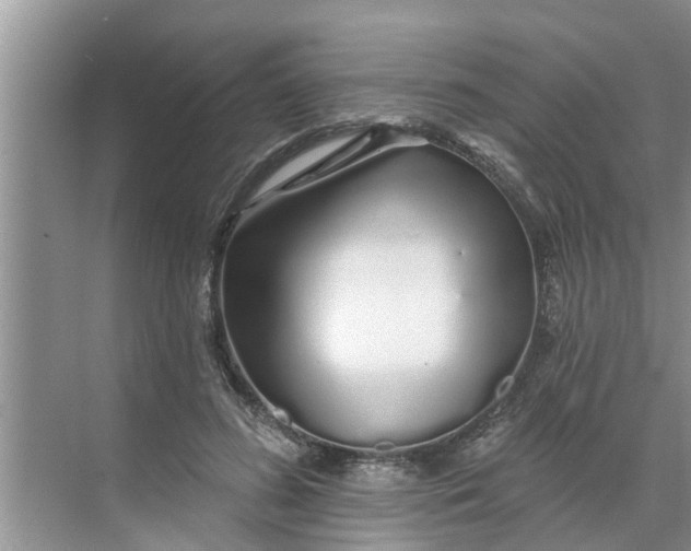 X0000068770596200605121704