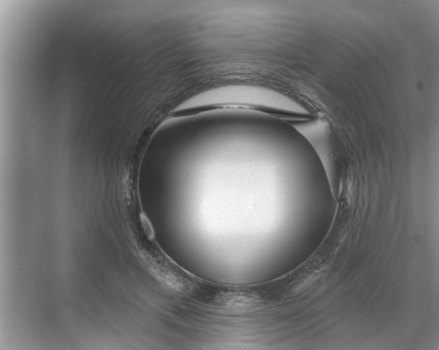 X0000068770597200605121703