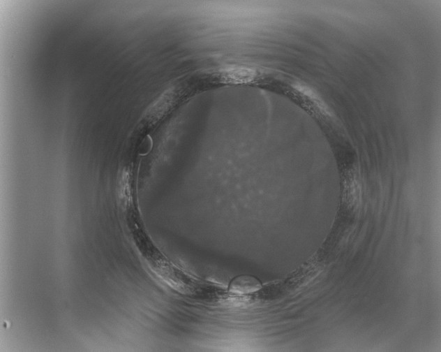 X0000068770598200605121703