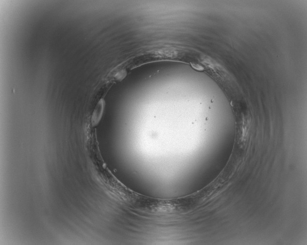 X0000068770600200605121703