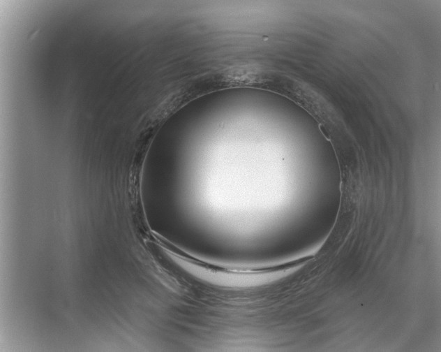 X0000068770601200605121703