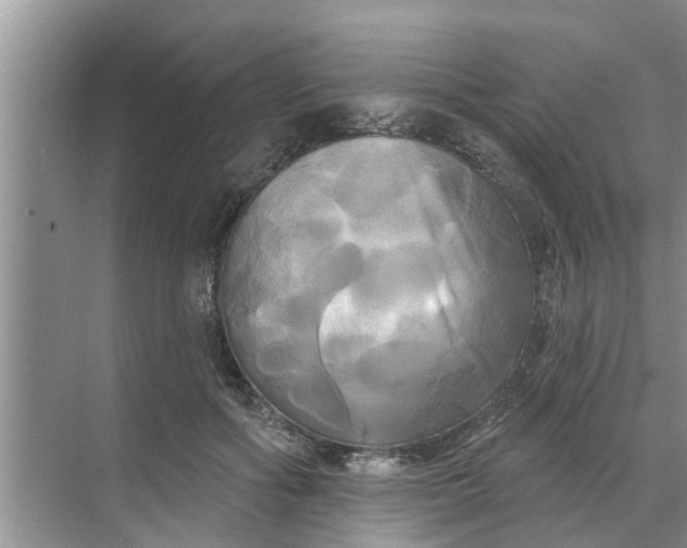 X0000068770602200605121703