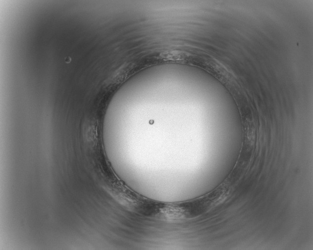 X0000068770603200605121703