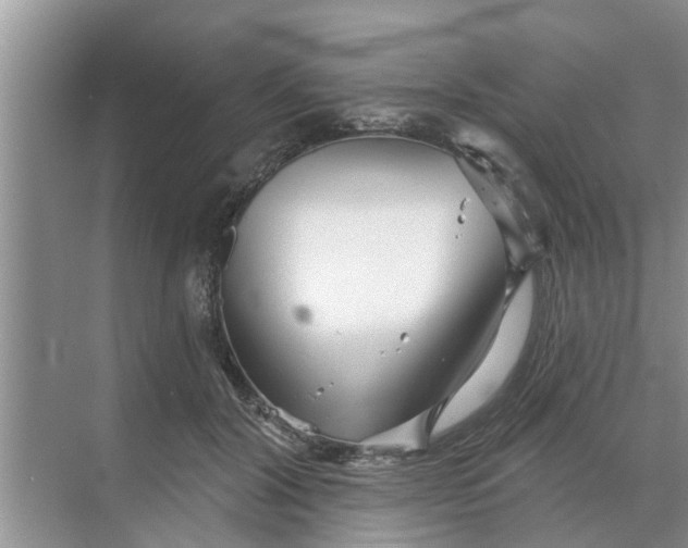 X0000068770604200605121703