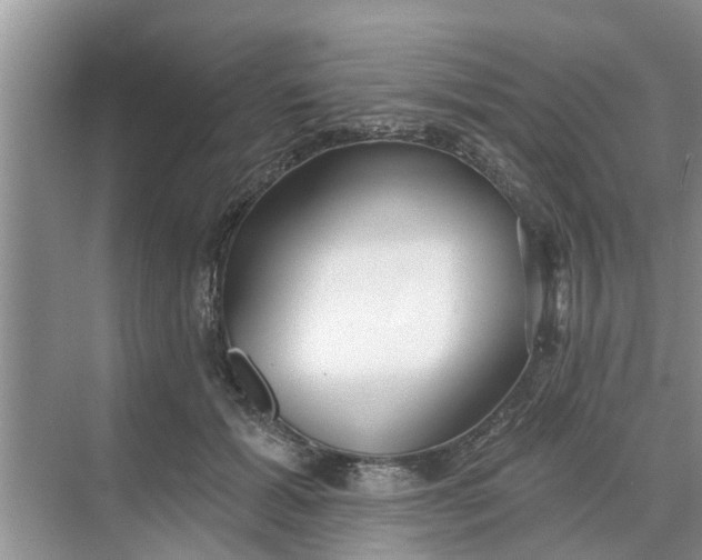 X0000068770605200605121703