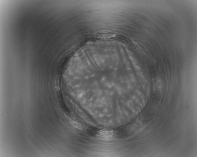 X0000068770606200605121703