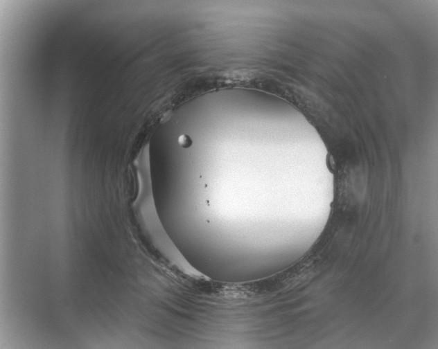 X0000068770608200605121703