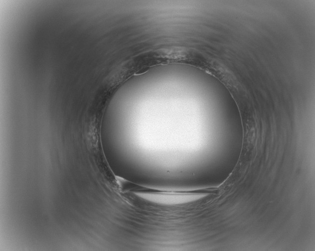 X0000068770609200605121703