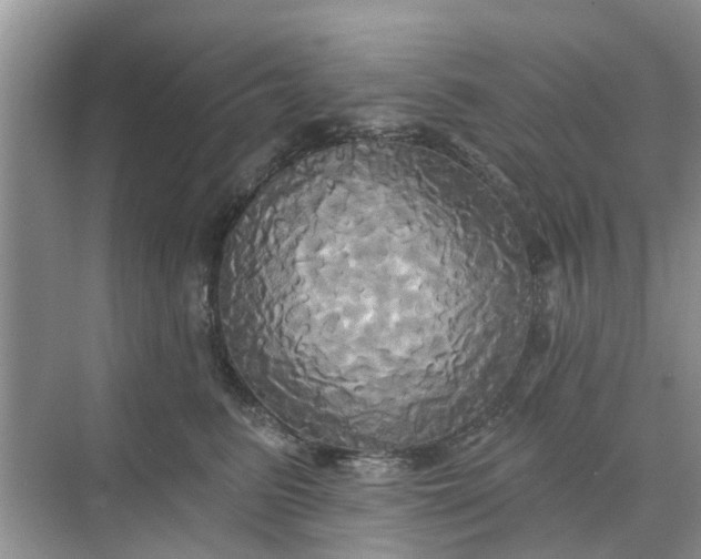 X0000068770615200605121703