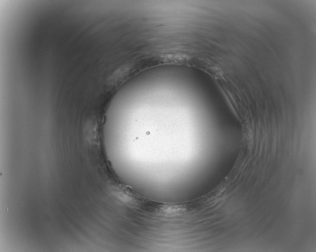 X0000068770619200605121703