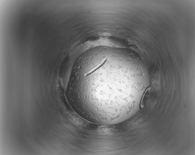 X0000068770620200605121703