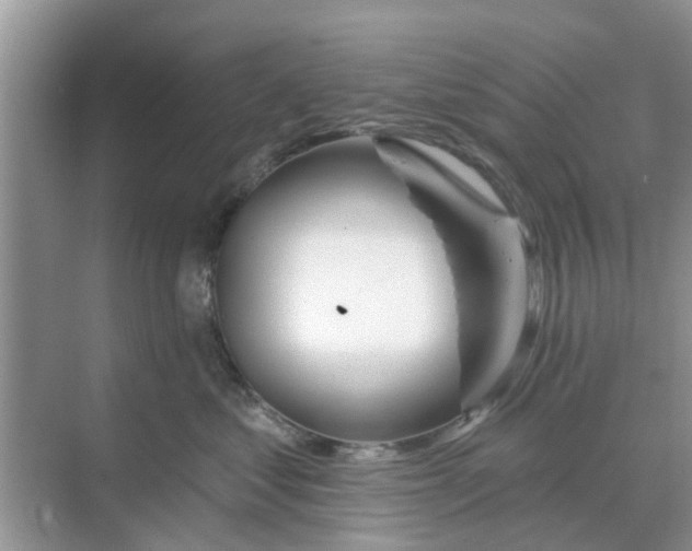 X0000068770621200605121703