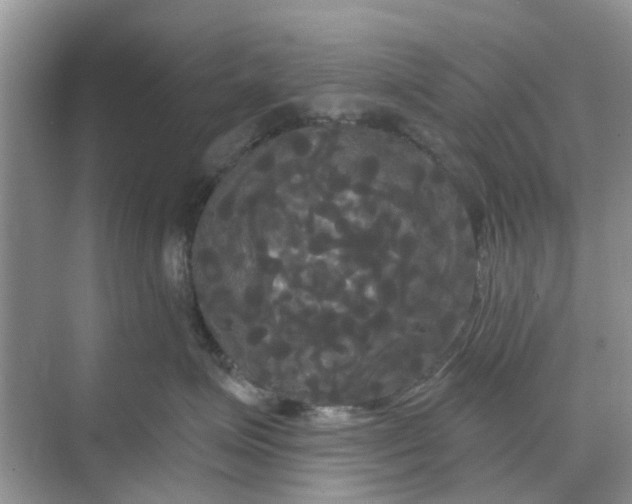 X0000068770623200605121703