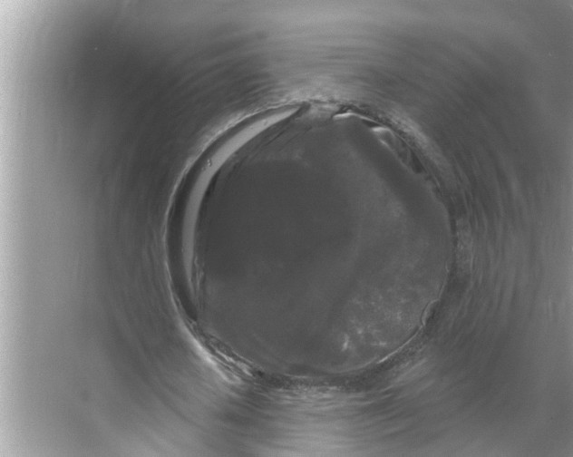 X0000068770626200605121702