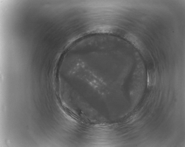 X0000068770627200605121702