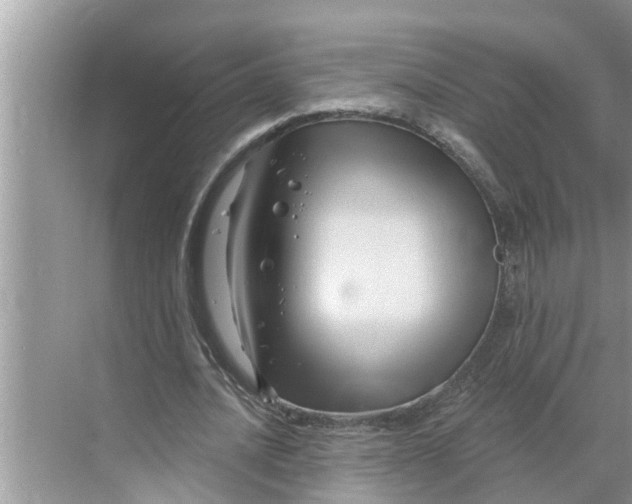 X0000068770628200605121702