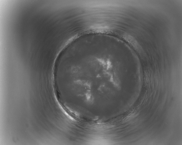 X0000068770630200605121702