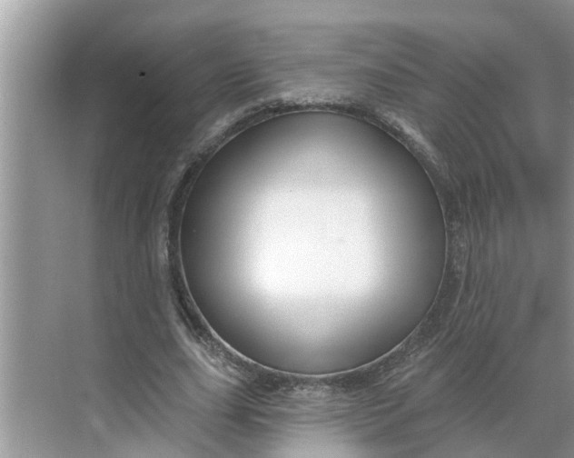 X0000068770631200605121702