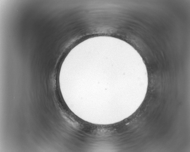 X0000068770632200605121702