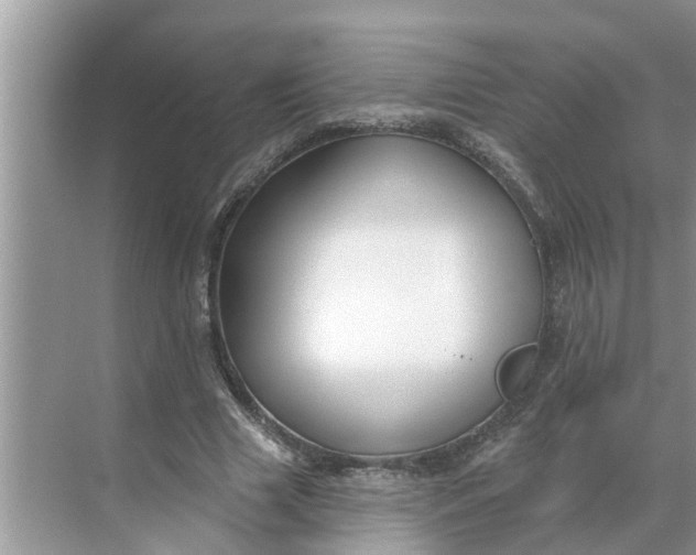 X0000068770633200605121702