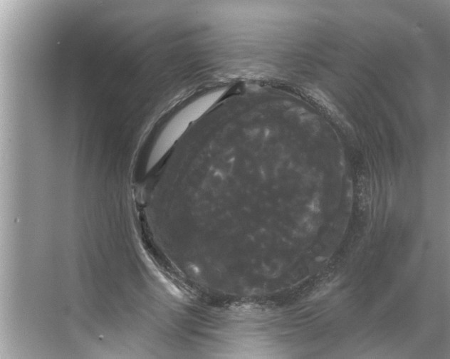 X0000068770634200605121702