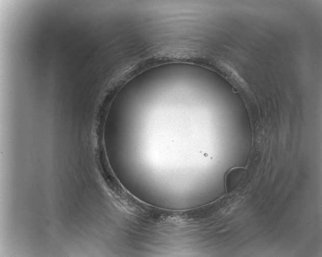 X0000068770635200605121702