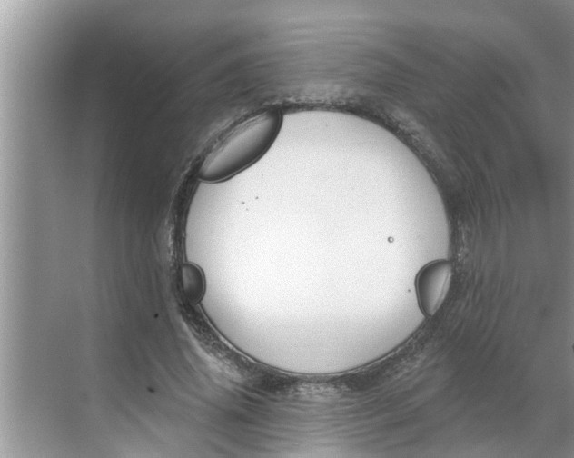 X0000068770636200605121702