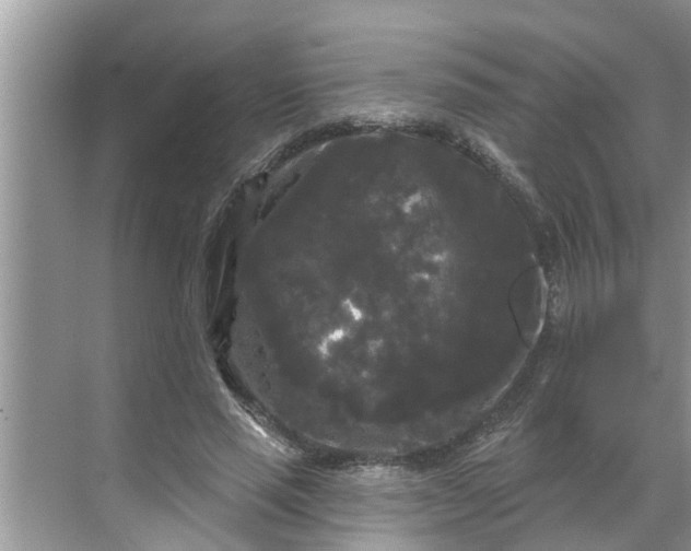 X0000068770637200605121702