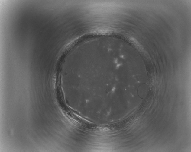 X0000068770640200605121702