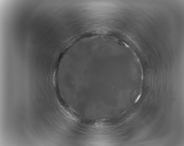 X0000068770641200605121702