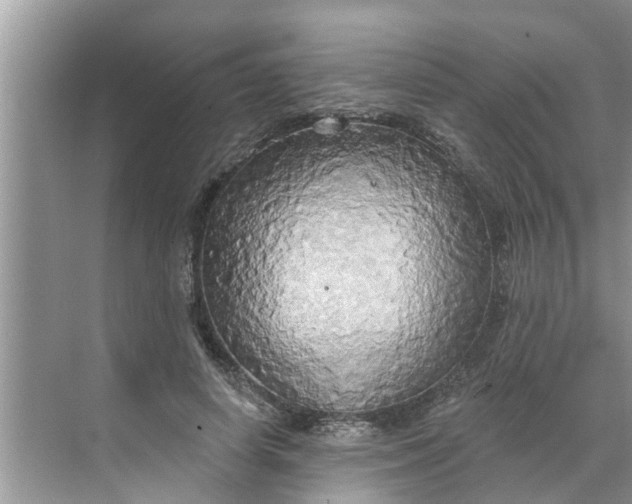 X0000068770642200605121703