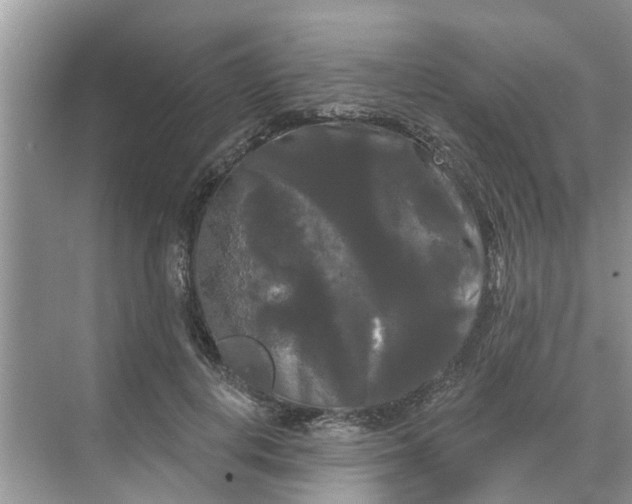 X0000068770648200605121703