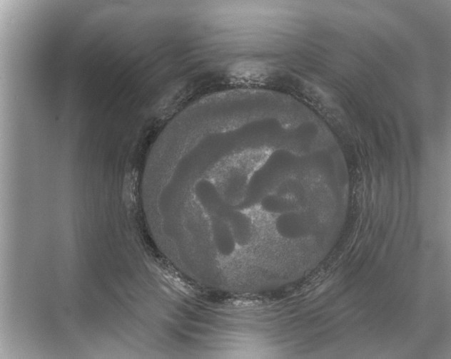 X0000068770649200605121703