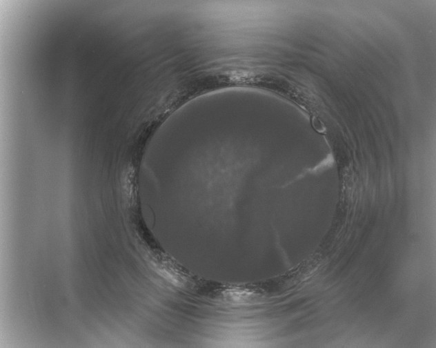 X0000068770650200605121703