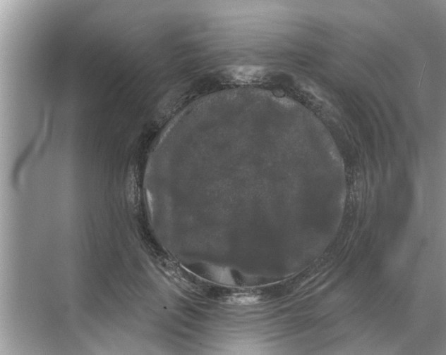 X0000068770651200605121703