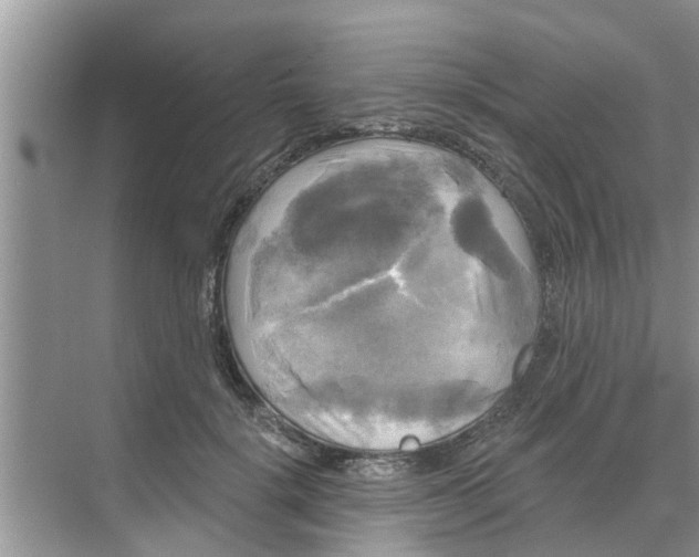 X0000068770652200605121703