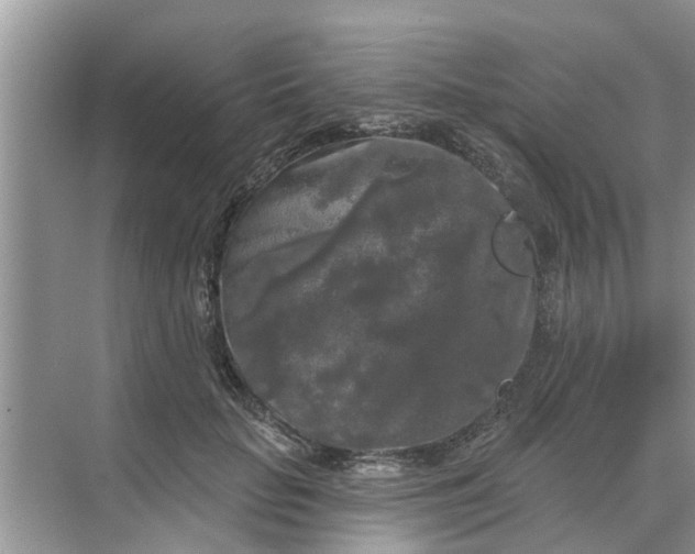 X0000068770653200605121703