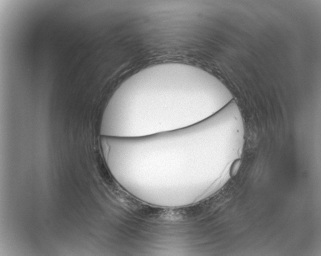 X0000068770656200605121703