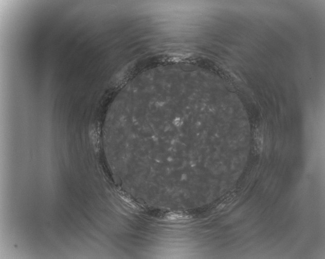 X0000068770657200605121703